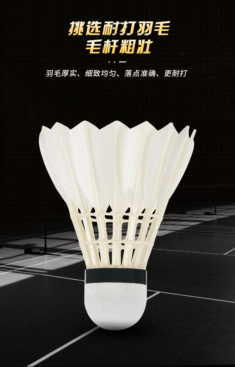 New 12PCS Professional Badmint - đánh giá và giá Badminton Youtube