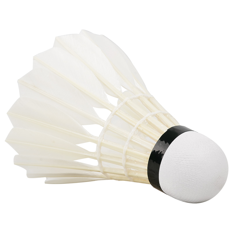 New 12PCS Professional Badmint - đánh giá và giá Badminton Youtube